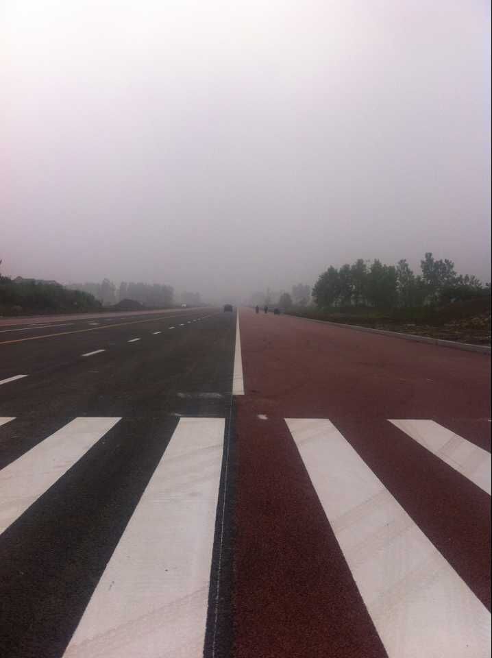金湖縣城南干道(人民南路-黎農(nóng)河)道路、排水及污水管道工程